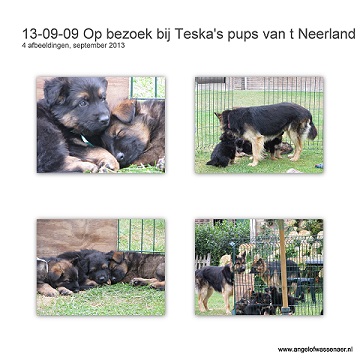 Op bezoek bij de pups van Teska en Oskar